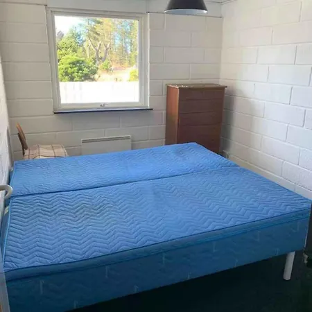 By The With Cozy Atmosphere *